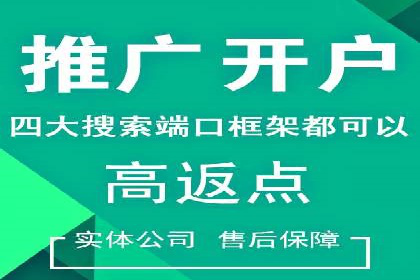 百度推广服务费案例分析：成功背后的秘密